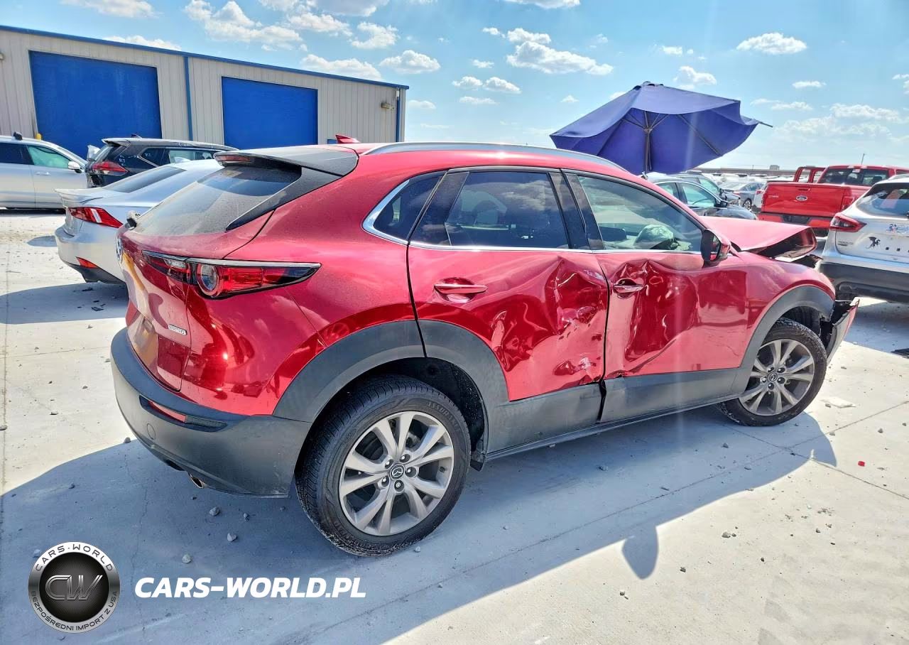 2020 Mazda Cx-30 Premium VIN:3MVDMAEM2LM129252 - 3