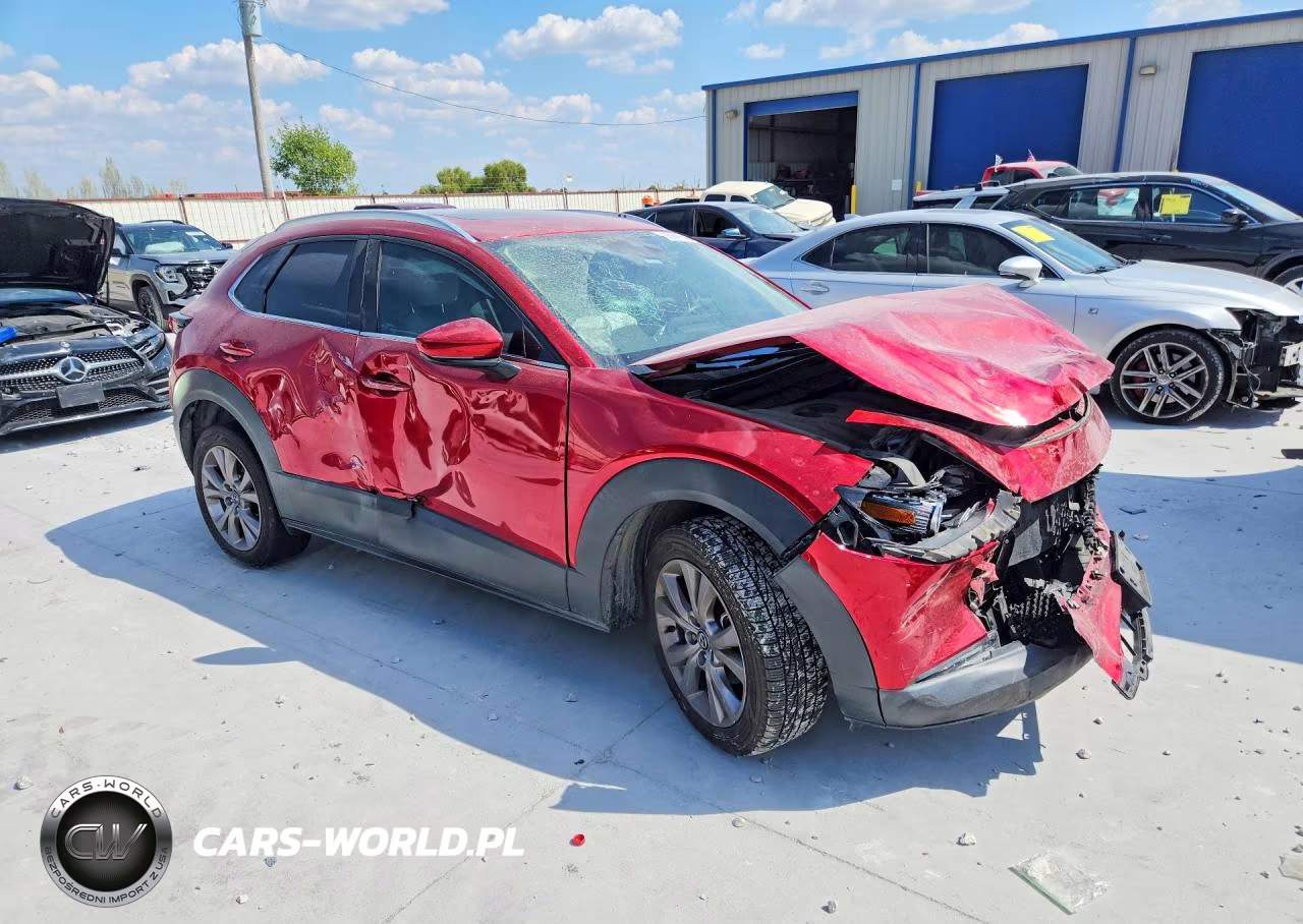 2020 Mazda Cx-30 Premium VIN:3MVDMAEM2LM129252 - 4
