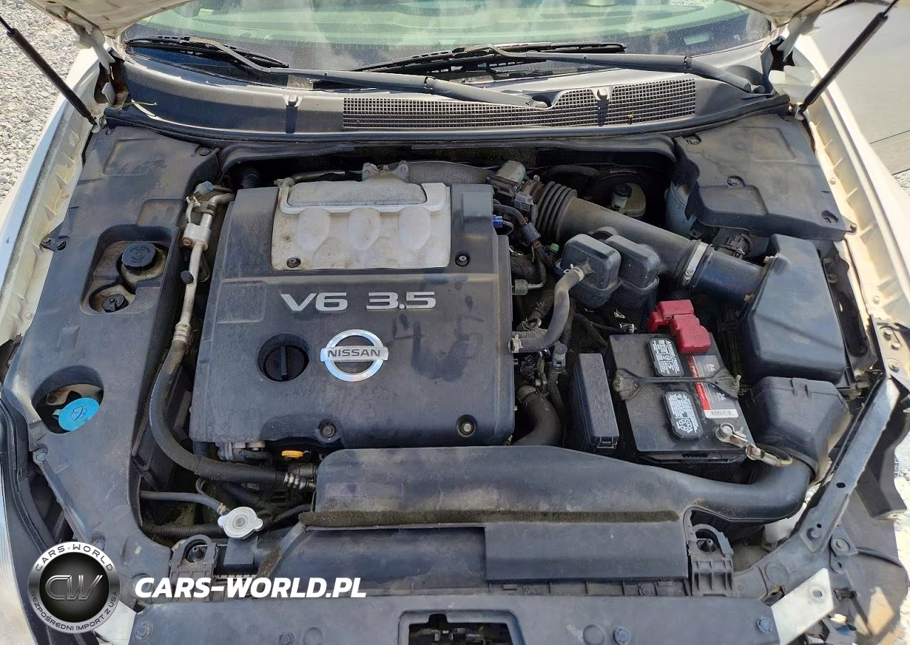 2004 Nissan Maxima 3.5 Se VIN:1N4BA41E24C901372 - 11