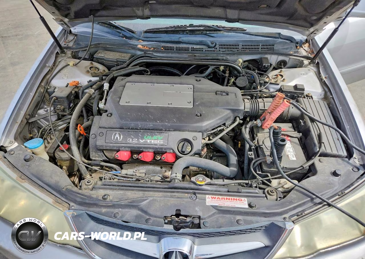 2002 Acura 3.2Tl VIN:19UUA56652A020489 - 11