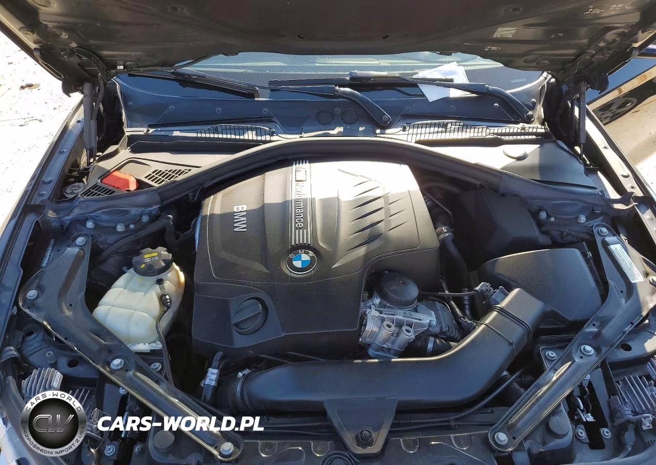 2016 BMW M235Xi VIN:WBA1M5C50GV326985 - 11