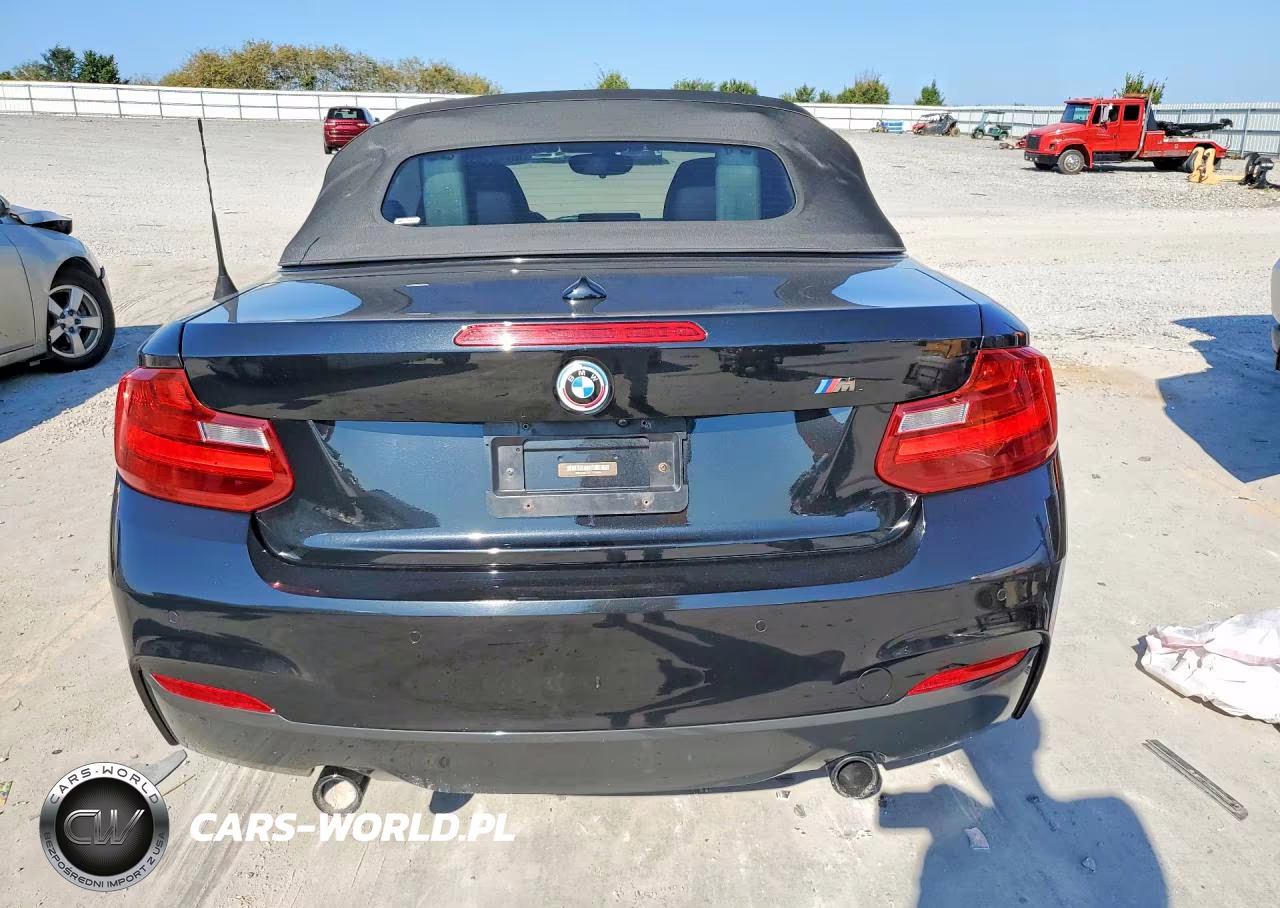 2016 BMW M235Xi VIN:WBA1M5C50GV326985 - 6