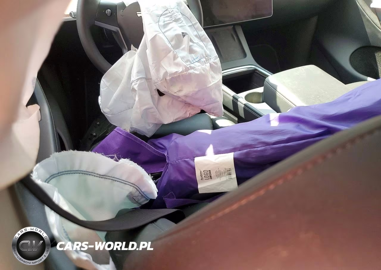 2023 Tesla Model Y VIN:7SAYGDEE0PA155251 - 9
