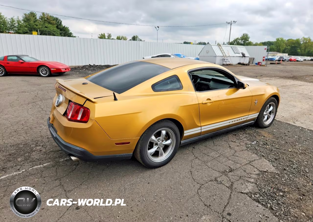 2010 Ford Mustang VIN:1ZVBP8ANXA5154438 - 3