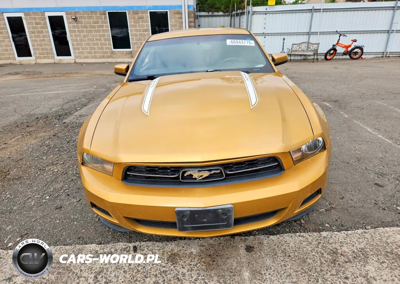 2010 Ford Mustang VIN:1ZVBP8ANXA5154438 - 5