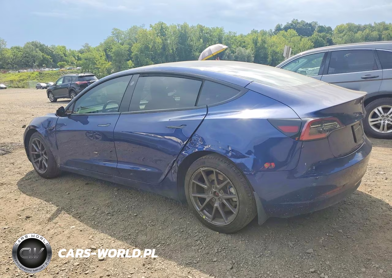 2022 Tesla Model 3 VIN:5YJ3E1EBXNF334995 - 2
