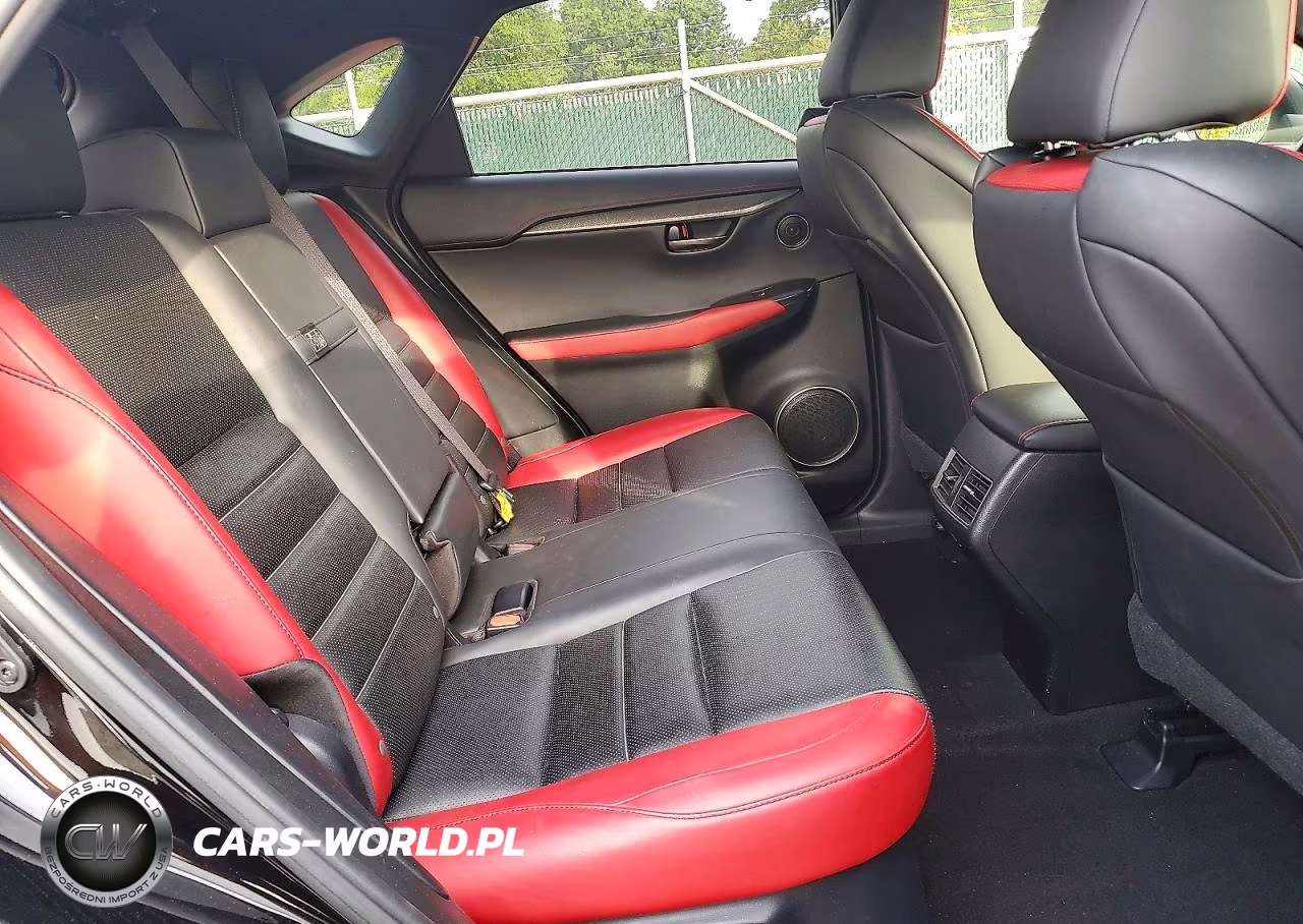 2019 Lexus Nx 300 F Sport VIN:JTJYARBZ1K2126985 - 10