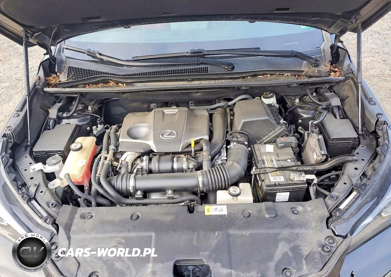 2019 Lexus Nx 300 F Sport VIN:JTJYARBZ1K2126985 - 11