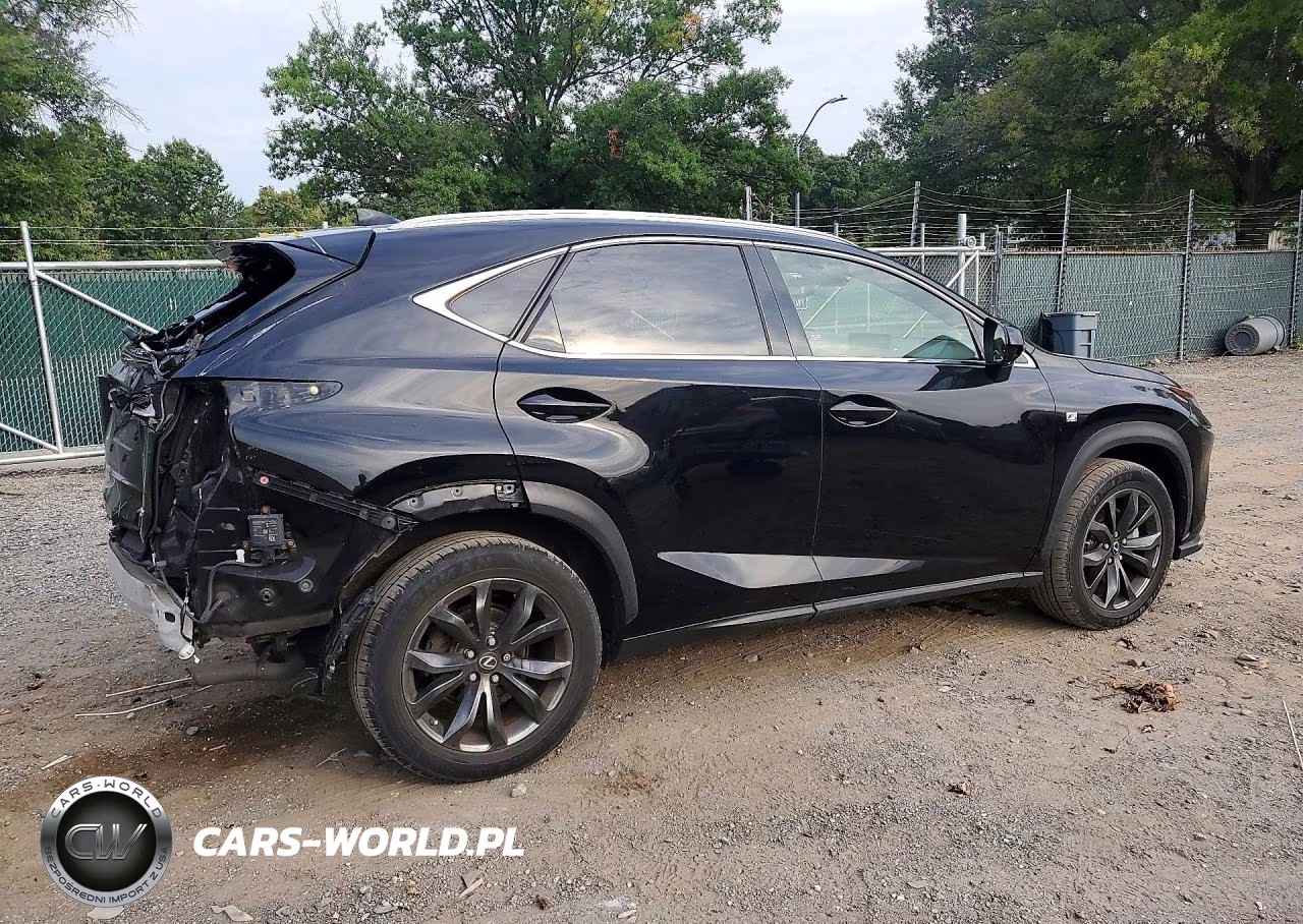 2019 Lexus Nx 300 F Sport VIN:JTJYARBZ1K2126985 - 3