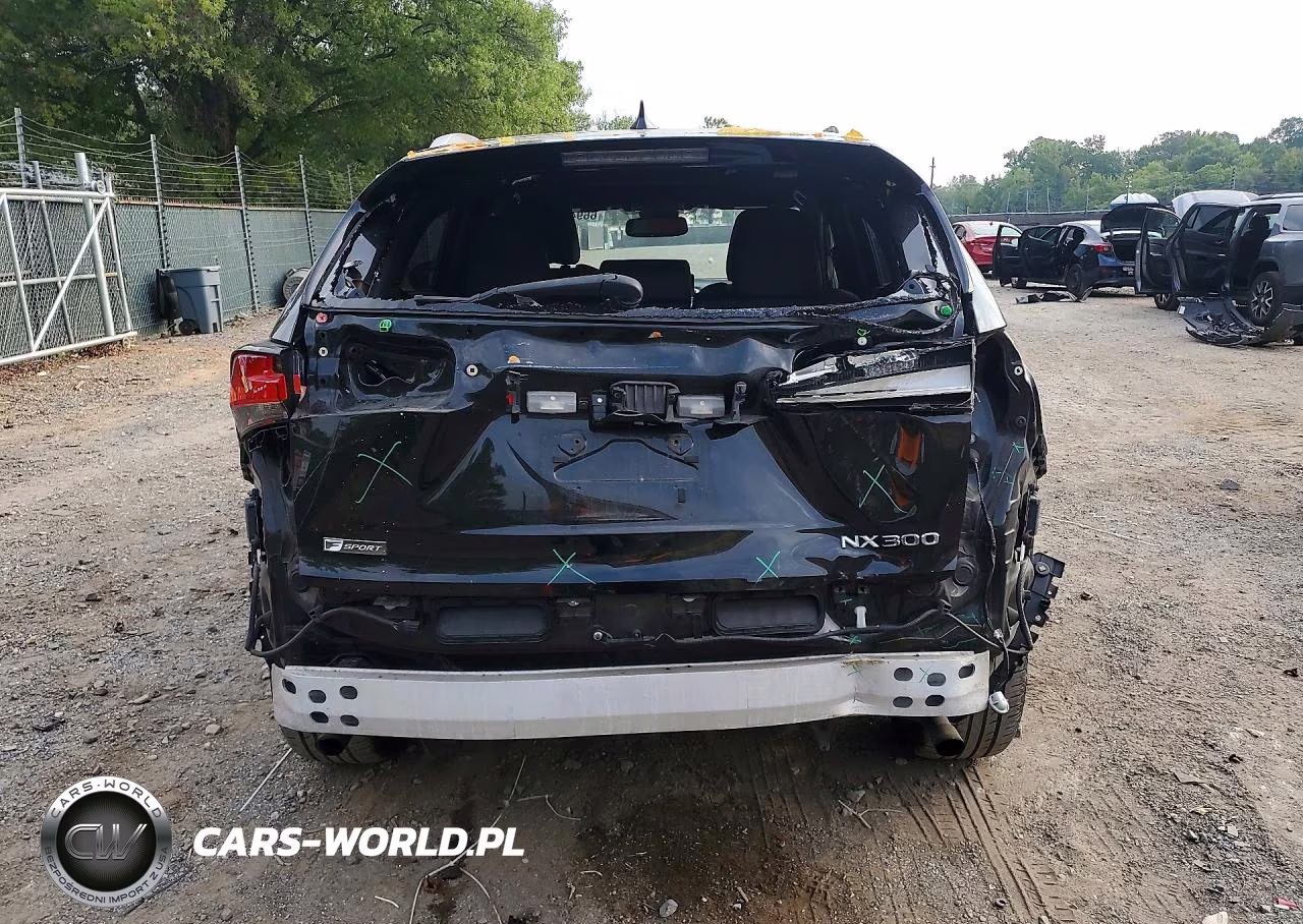 2019 Lexus Nx 300 F Sport VIN:JTJYARBZ1K2126985 - 6
