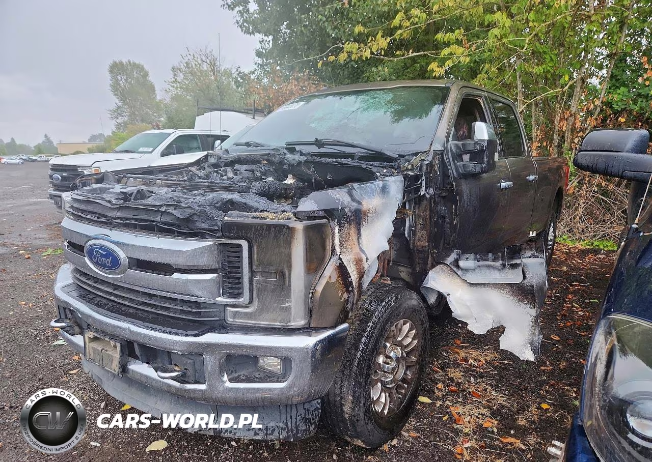 2017 Ford F350 Super Duty VIN:1FT8W3BT2HEE84097 - 1