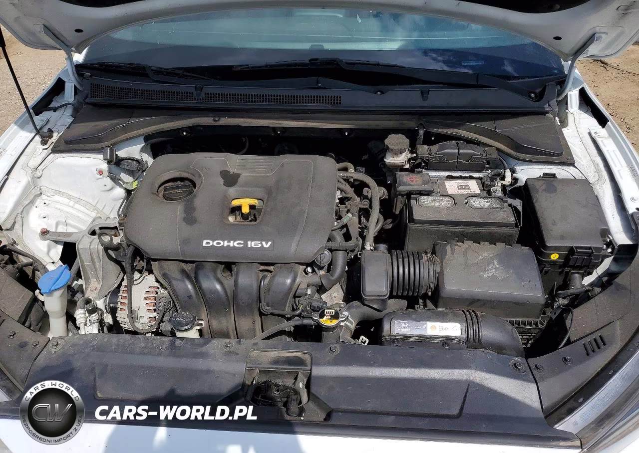 2019 Hyundai Veloster 2.0L VIN:KMHTG6AF1KU017038 - 11