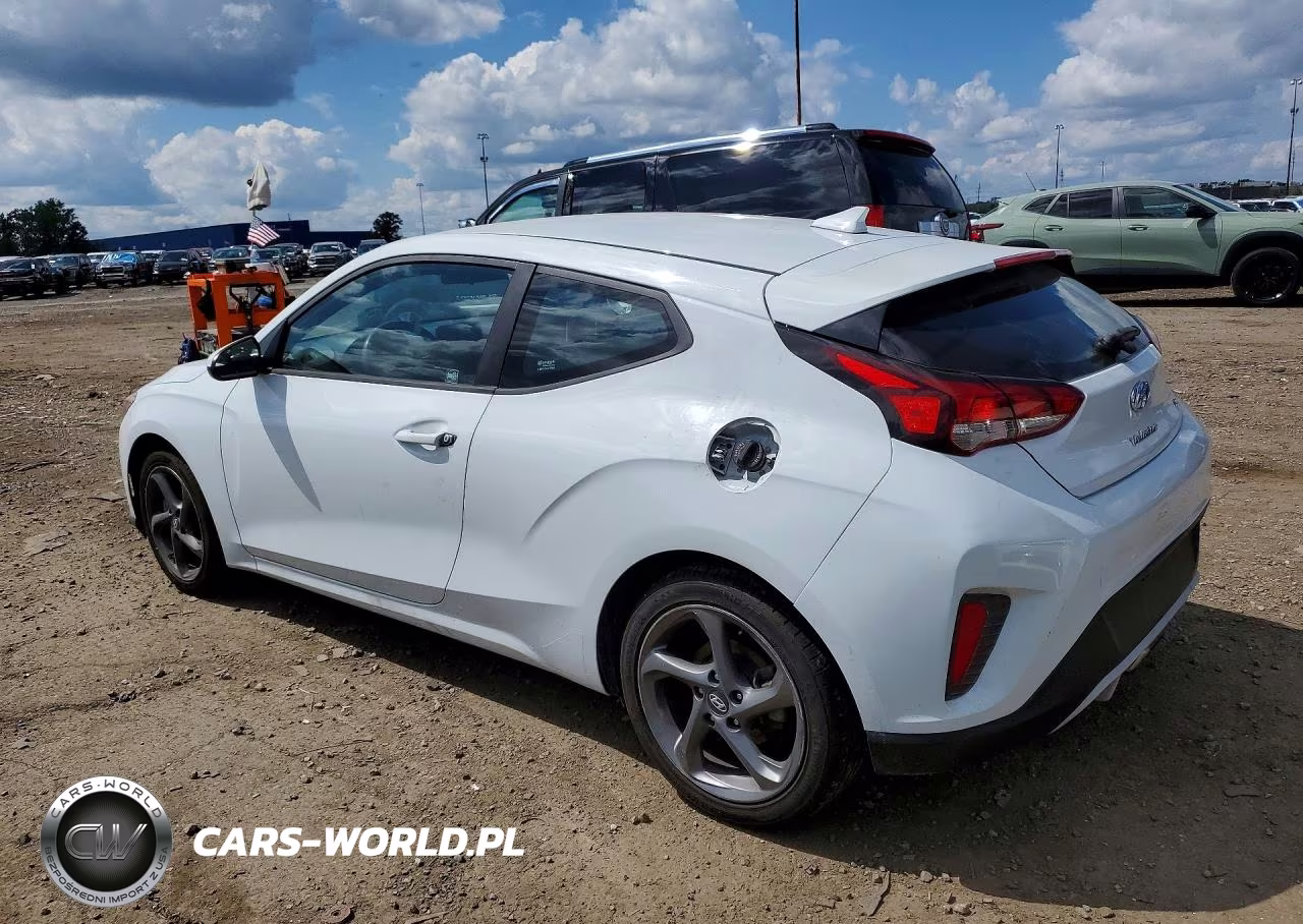 2019 Hyundai Veloster 2.0L VIN:KMHTG6AF1KU017038 - 2