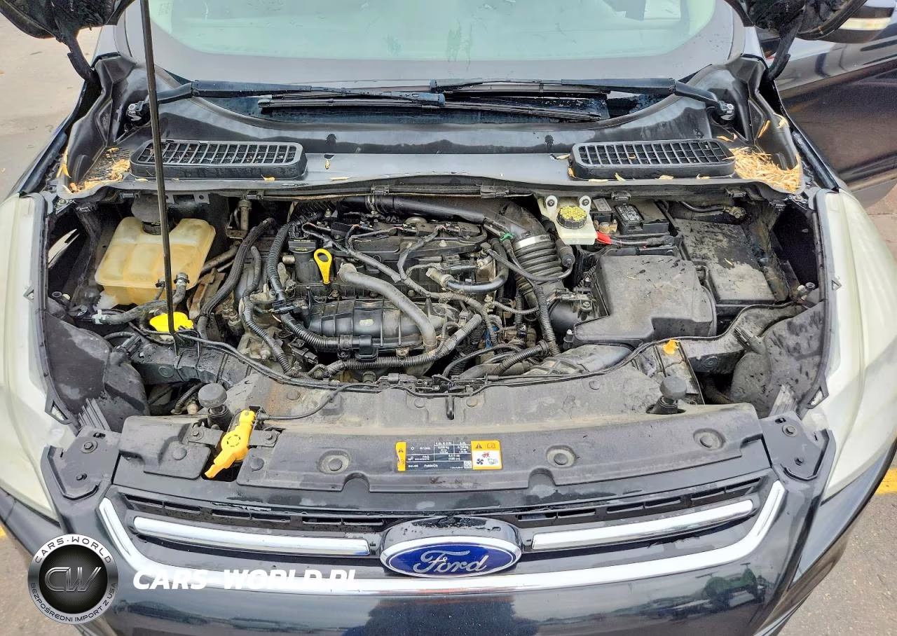 2013 Ford Escape Sel VIN:1FMCU9HX3DUB27892 - 12