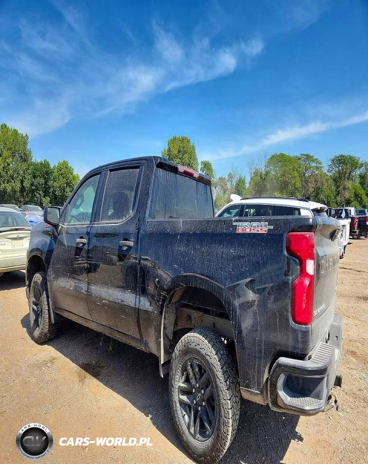 2020 Chevrolet Silverado K1500 Trail Boss Custom VIN:1GCPYCEF8LZ164621 - 2