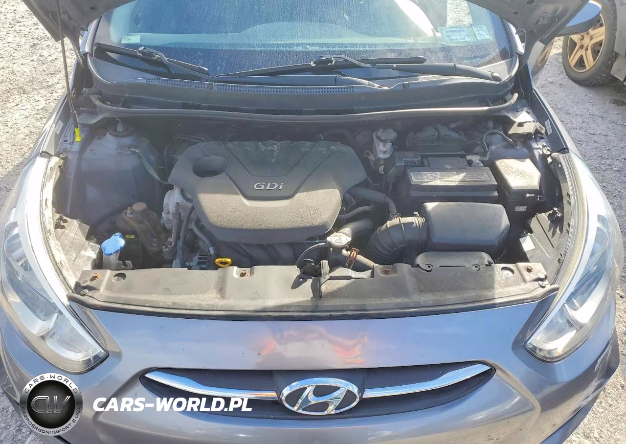 2015 Hyundai Accent Gs VIN:KMHCT5AE2FU205005 - 11