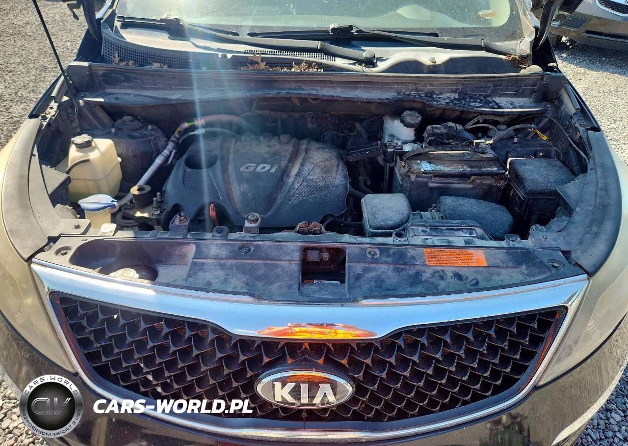 2016 Kia Sportage Lx VIN:KNDPB3AC2G7793256 - 12