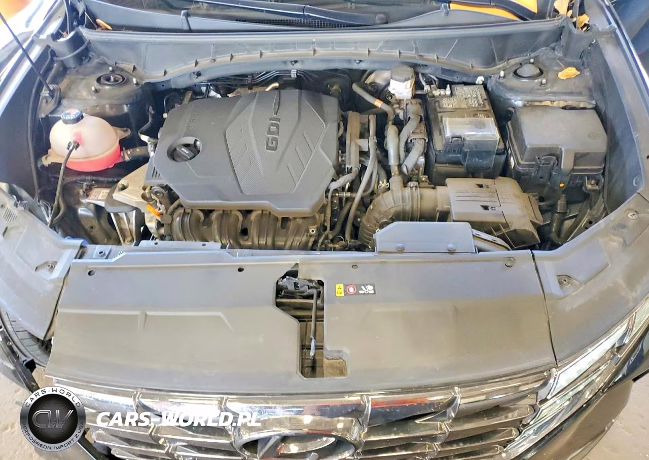 2023 Hyundai Tucson Limited VIN:5NMJECAE4PH172043 - 12