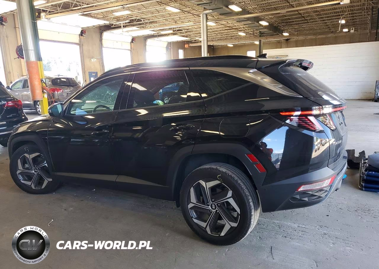 2023 Hyundai Tucson Limited VIN:5NMJECAE4PH172043 - 2
