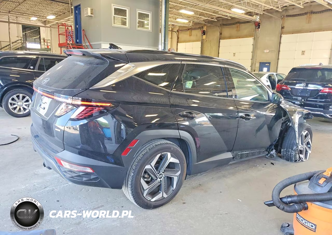 2023 Hyundai Tucson Limited VIN:5NMJECAE4PH172043 - 3