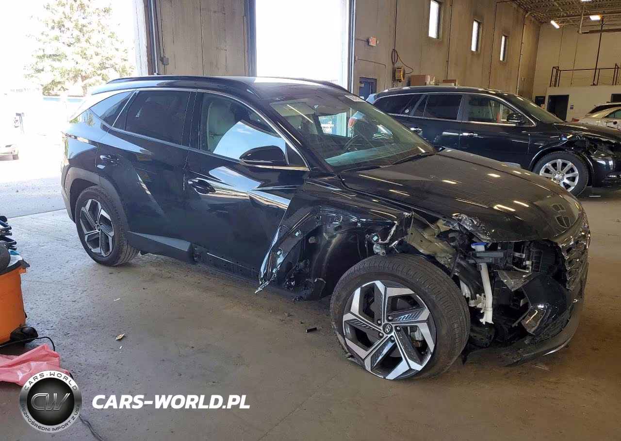 2023 Hyundai Tucson Limited VIN:5NMJECAE4PH172043 - 4