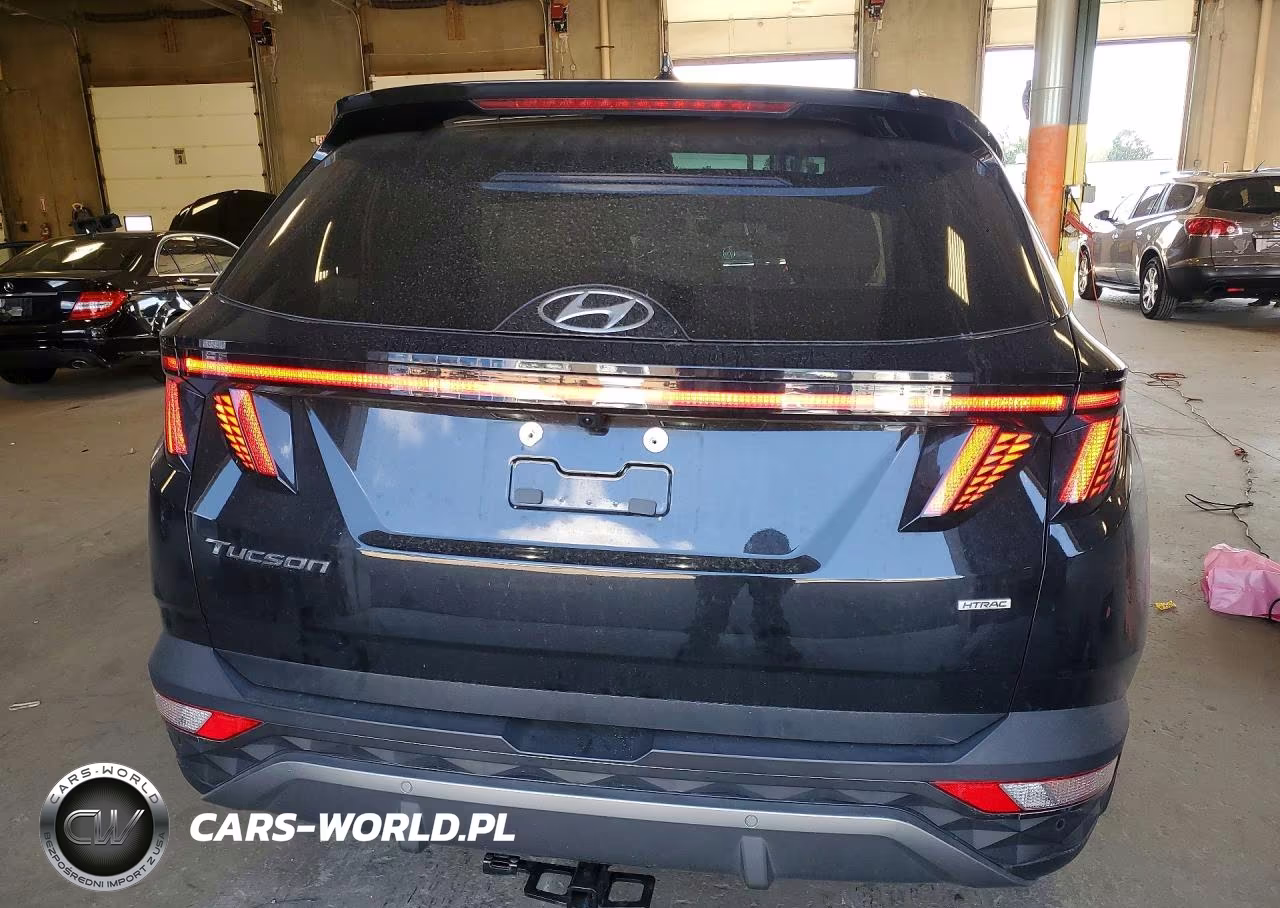2023 Hyundai Tucson Limited VIN:5NMJECAE4PH172043 - 6