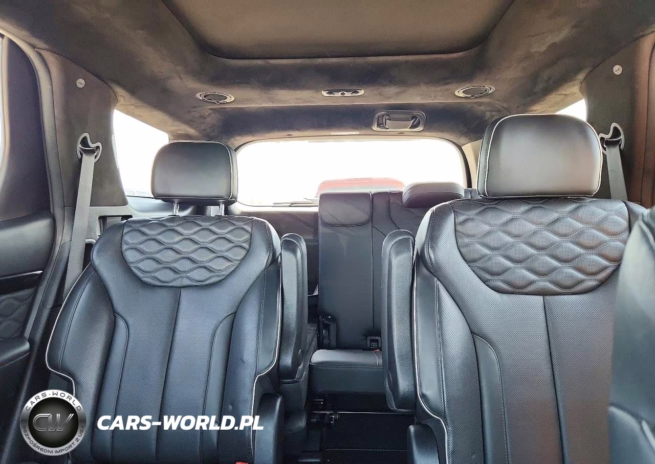 2022 Hyundai Palisade Calligraphy VIN:KM8R74HE3NU393949 - 10