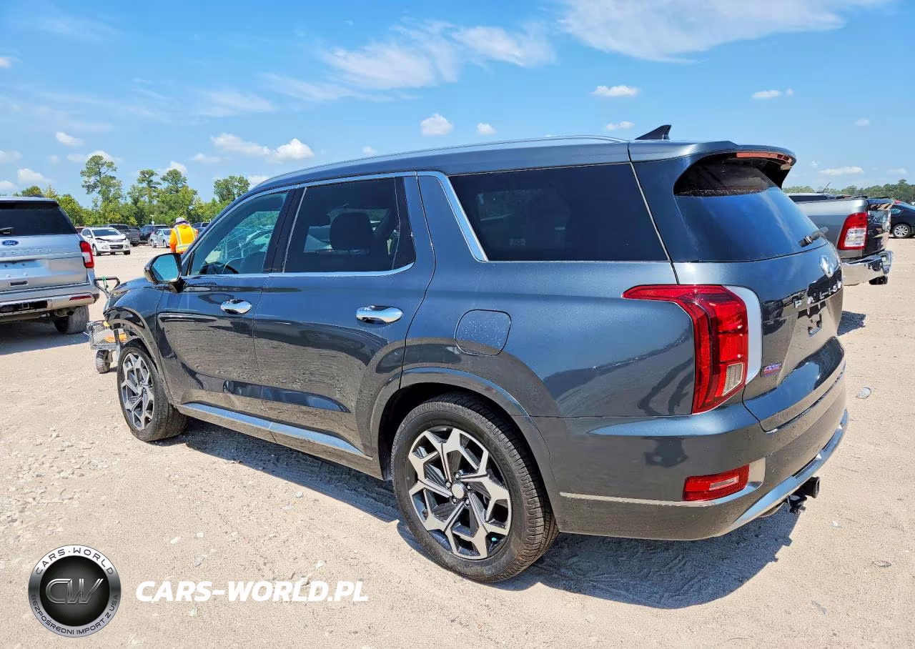 2022 Hyundai Palisade Calligraphy VIN:KM8R74HE3NU393949 - 2