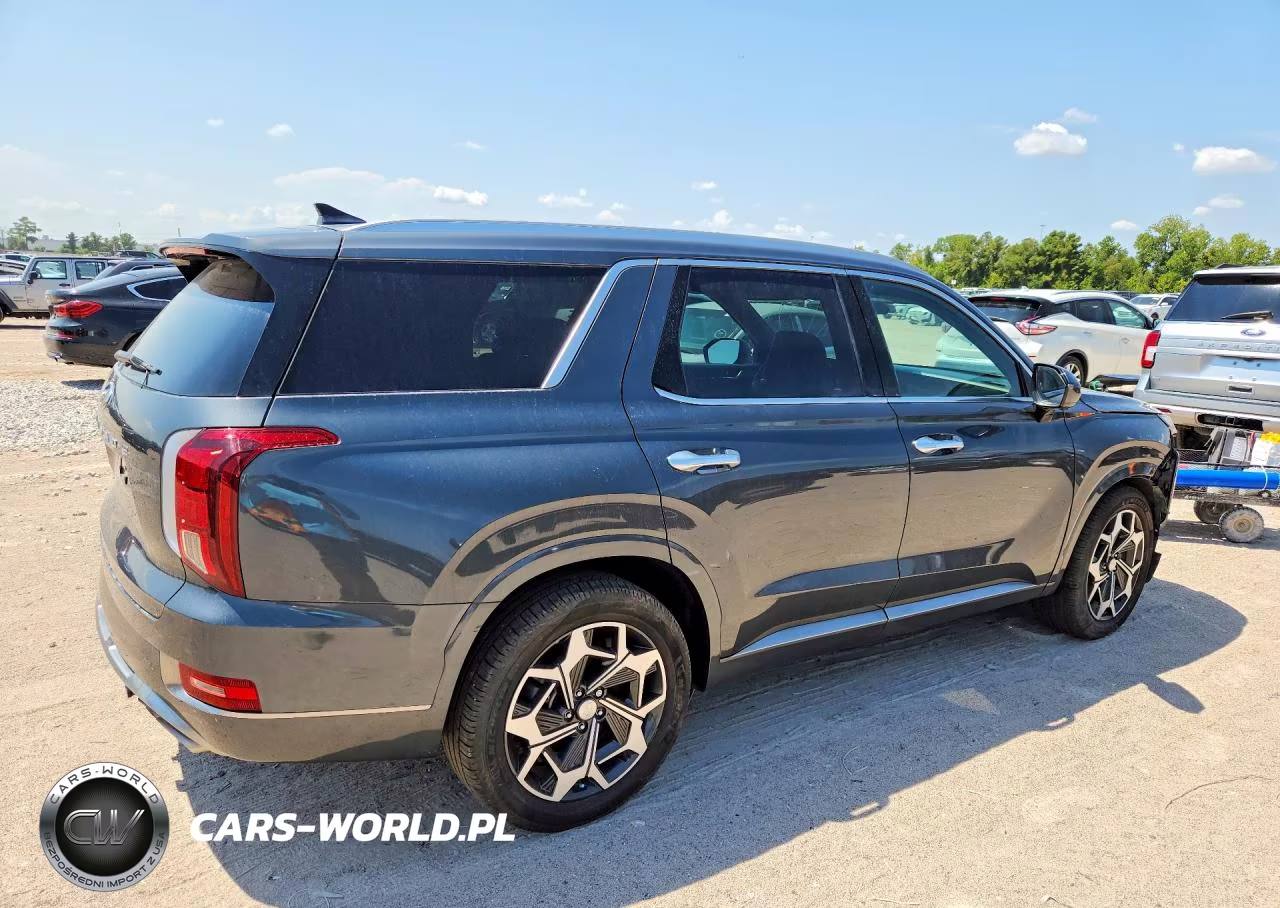 2022 Hyundai Palisade Calligraphy VIN:KM8R74HE3NU393949 - 3