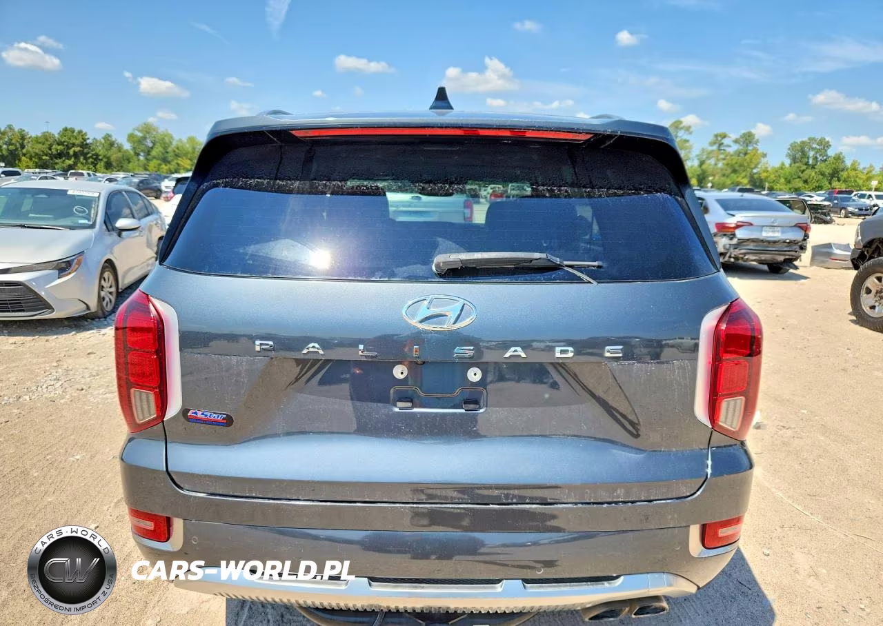 2022 Hyundai Palisade Calligraphy VIN:KM8R74HE3NU393949 - 6