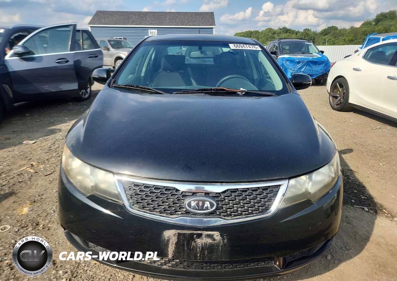 2012 Kia Forte Ex VIN:KNAFU4A25C5554533 - 5
