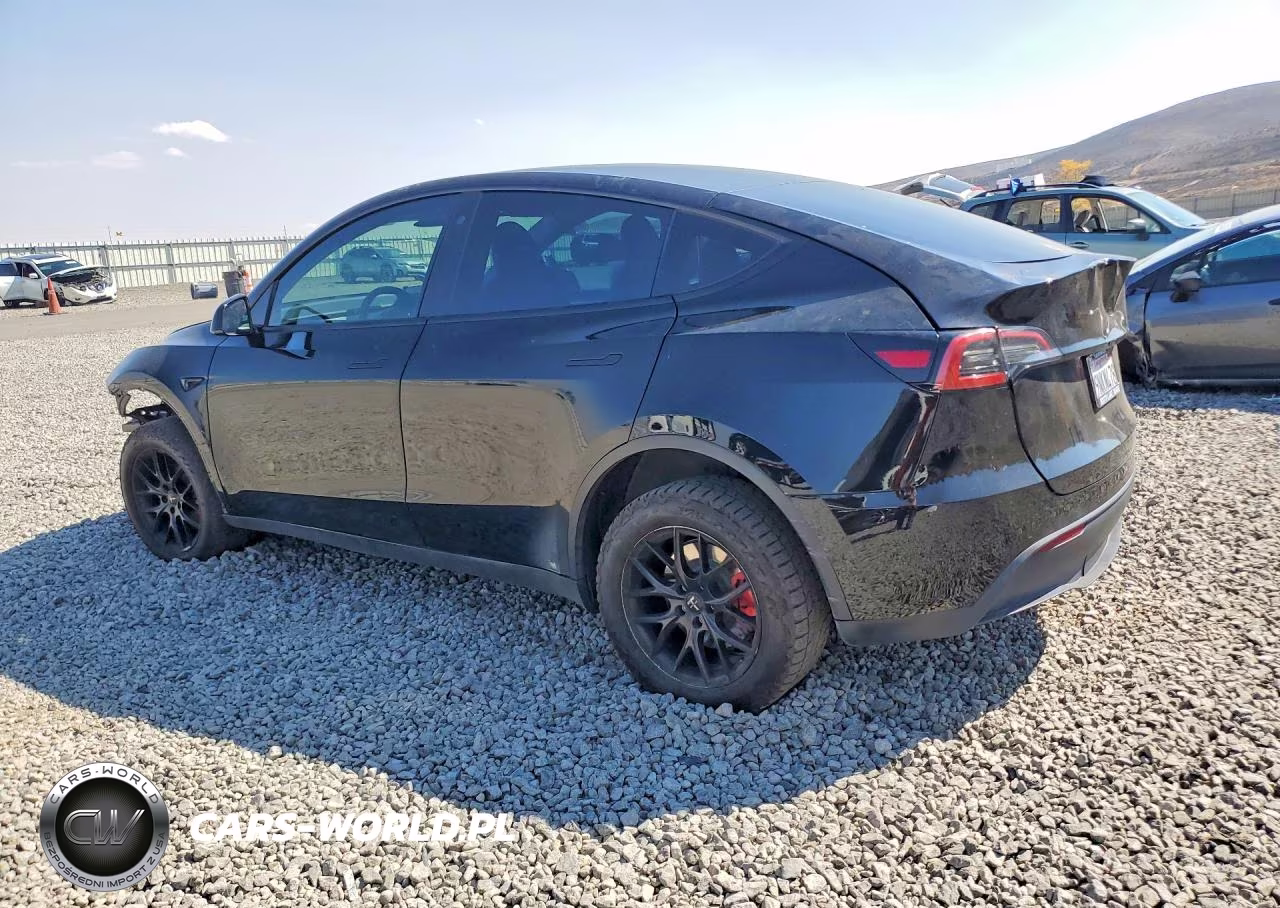 2022 Tesla Model Y VIN:7SAYGDEE4NA019007 - 2
