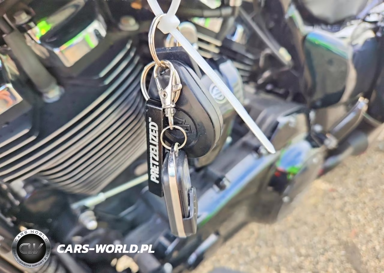 2021 Harley-Davidson Fltrxs Road Glide Special VIN:1HD1KTP14MB676815 - 8