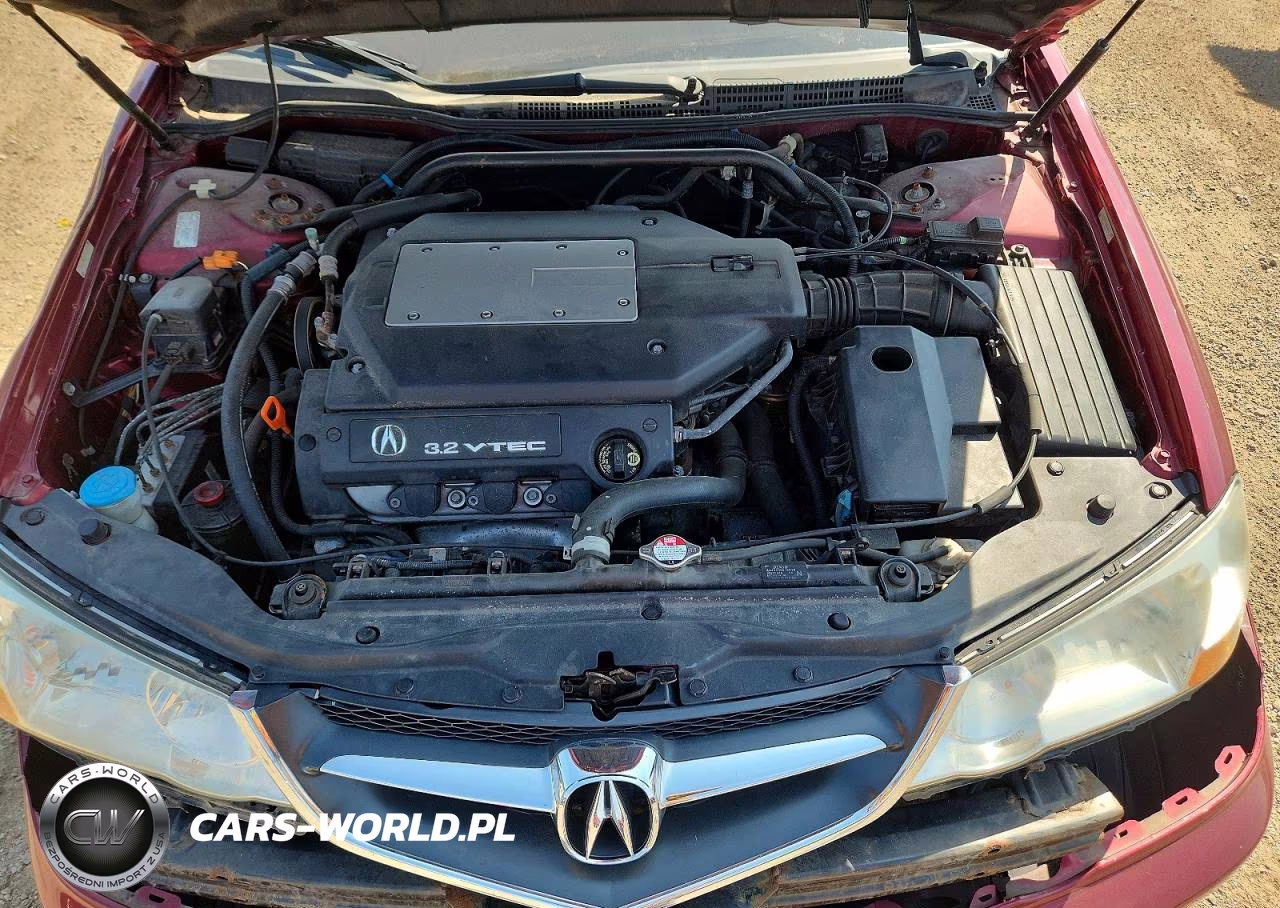 2003 Acura 3.2Tl VIN:19UUA56683A061457 - 11