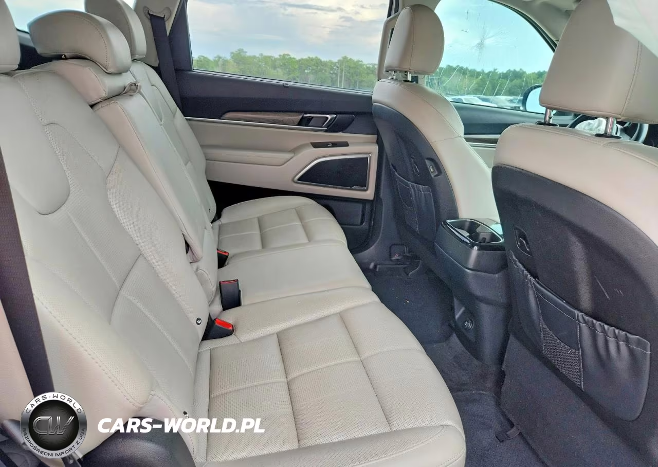 2020 Kia Telluride Ex VIN:5XYP34HC3LG042155 - 11