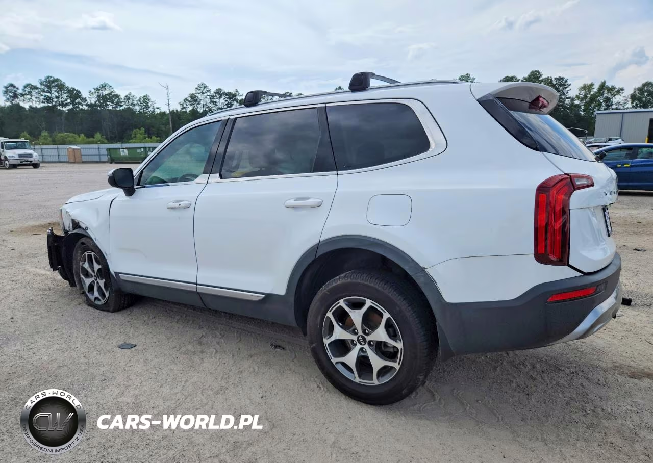 2020 Kia Telluride Ex VIN:5XYP34HC3LG042155 - 2