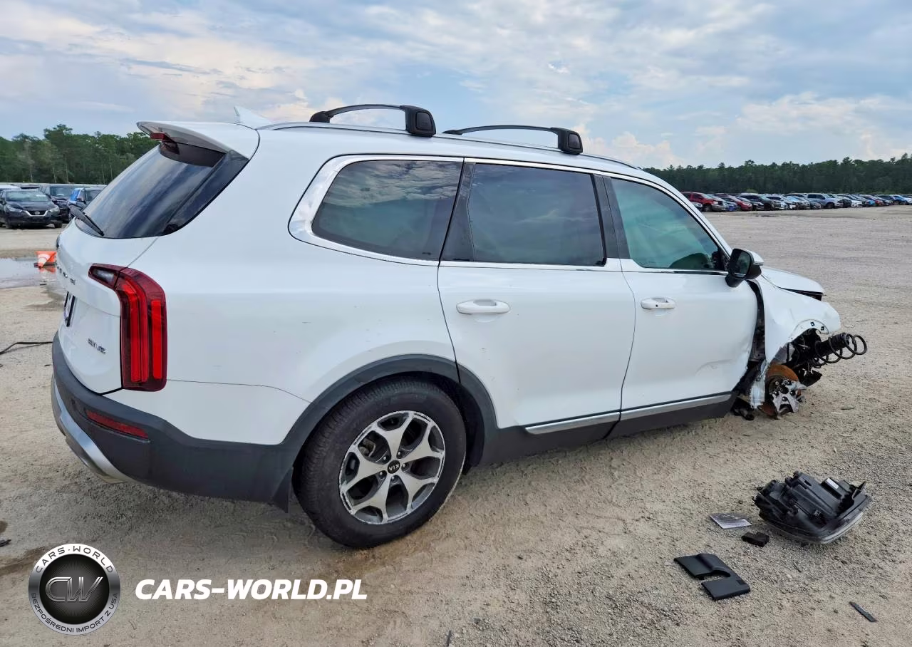 2020 Kia Telluride Ex VIN:5XYP34HC3LG042155 - 3