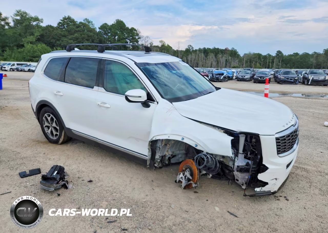 2020 Kia Telluride Ex VIN:5XYP34HC3LG042155 - 4