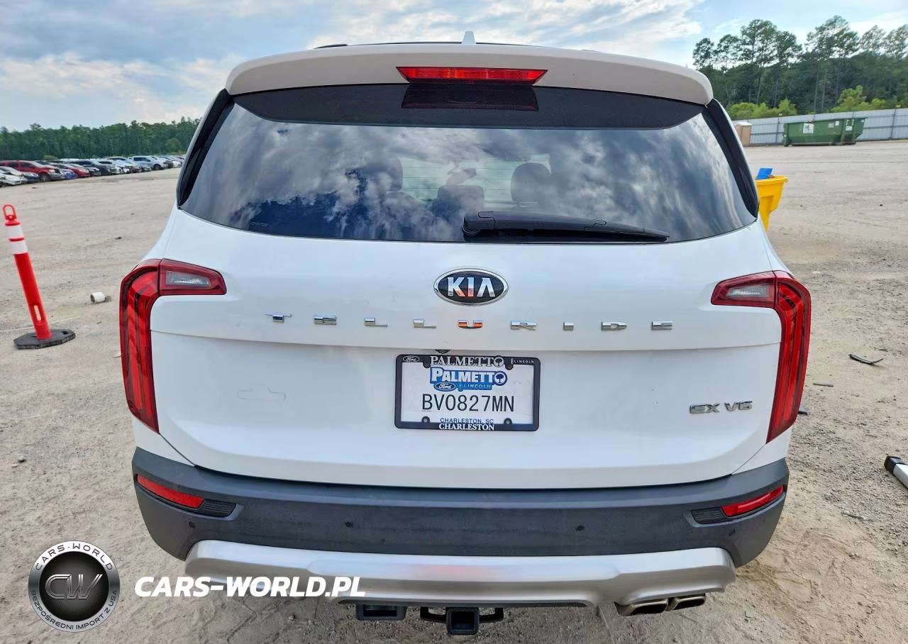 2020 Kia Telluride Ex VIN:5XYP34HC3LG042155 - 6