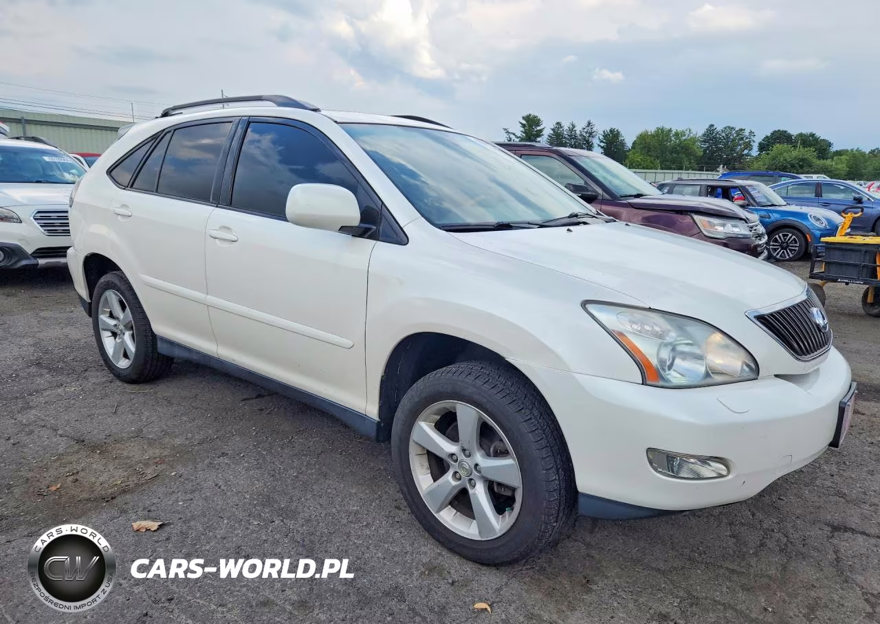 2004 Lexus Rx 330 VIN:JTJHA31U340002556 - 4