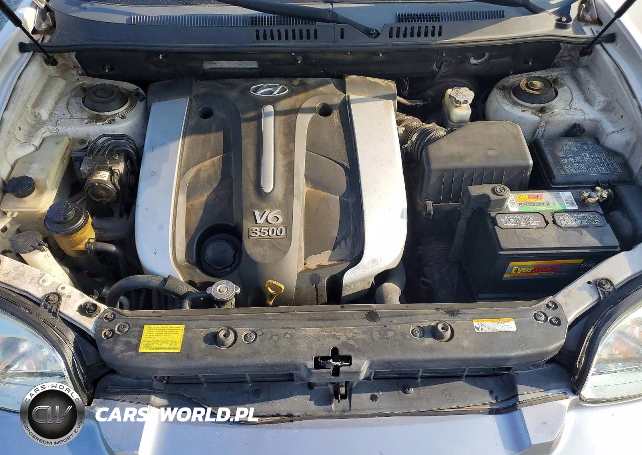2006 Hyundai Santa Fe Gls VIN:KM8SC13E56U093219 - 12