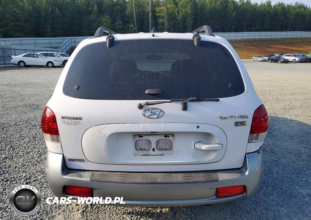 2006 Hyundai Santa Fe Gls VIN:KM8SC13E56U093219 - 6
