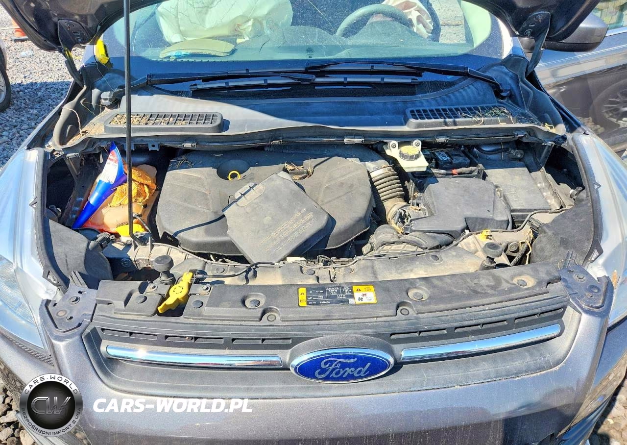 2014 Ford Escape Se VIN:1FMCU9G92EUA47634 - 11