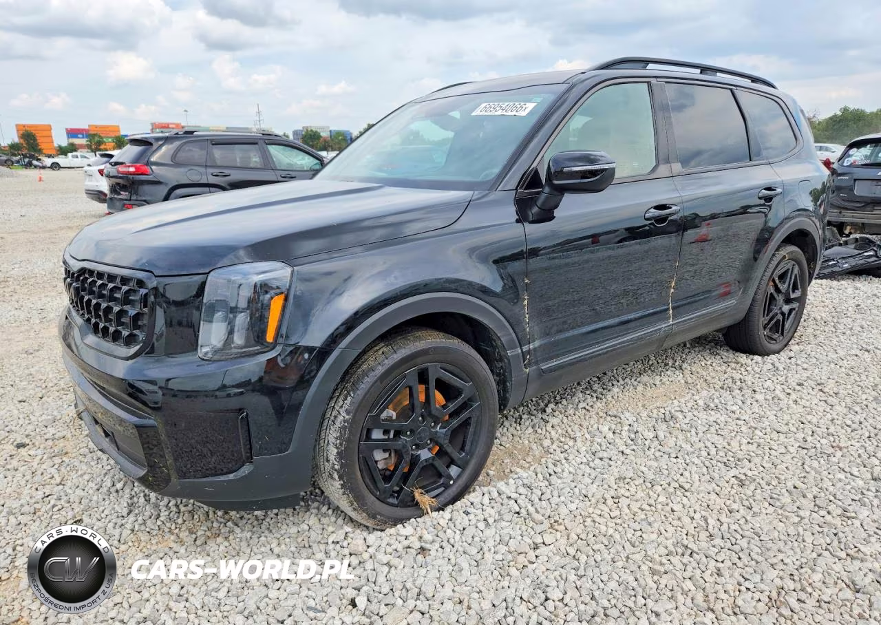 2025 Kia Telluride Ex X-Line VIN:5XYP3DGC5SG626184 - 1
