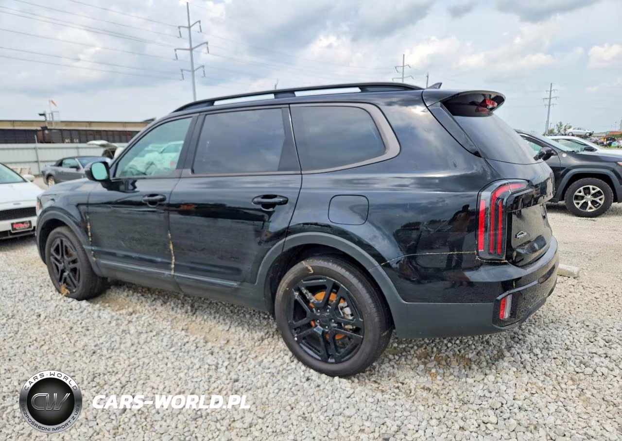 2025 Kia Telluride Ex X-Line VIN:5XYP3DGC5SG626184 - 2