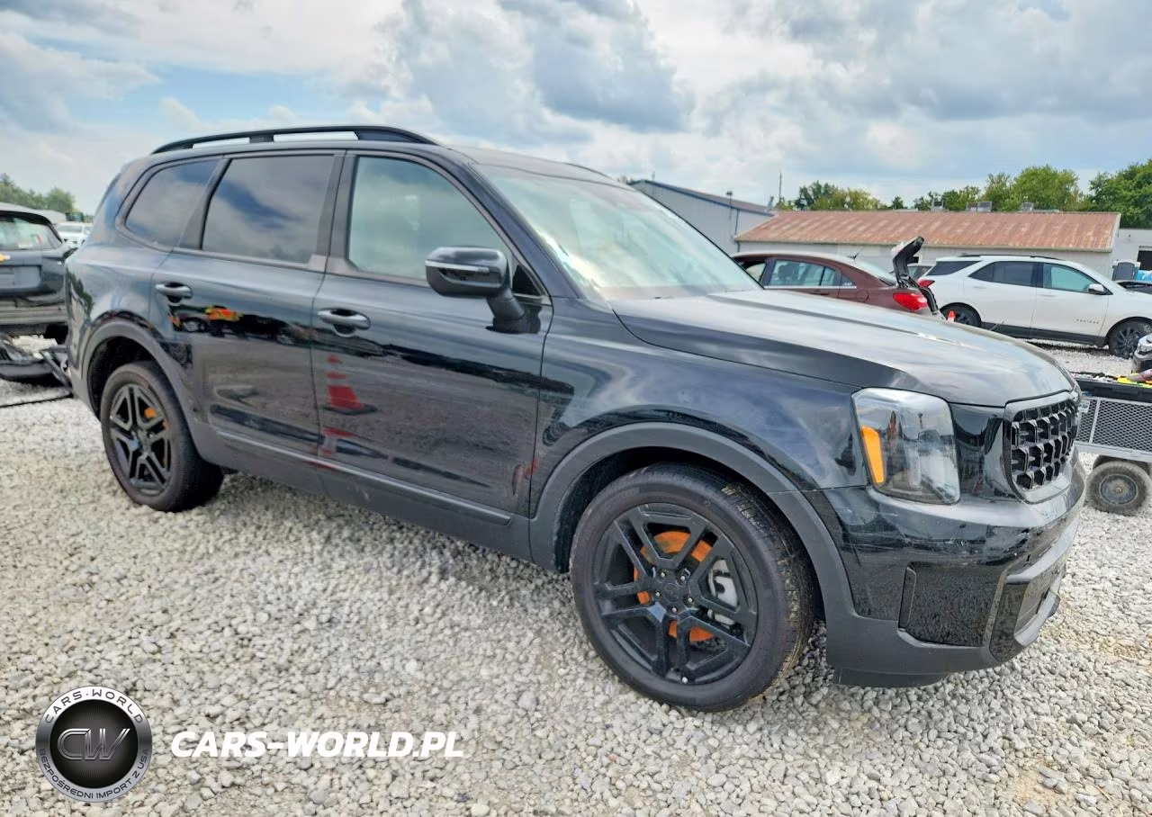 2025 Kia Telluride Ex X-Line VIN:5XYP3DGC5SG626184 - 4
