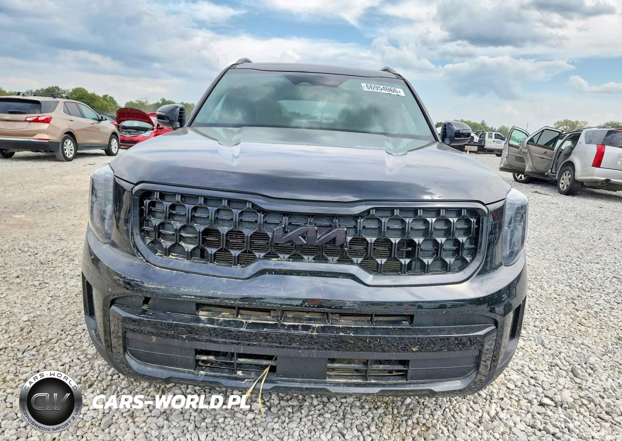 2025 Kia Telluride Ex X-Line VIN:5XYP3DGC5SG626184 - 5