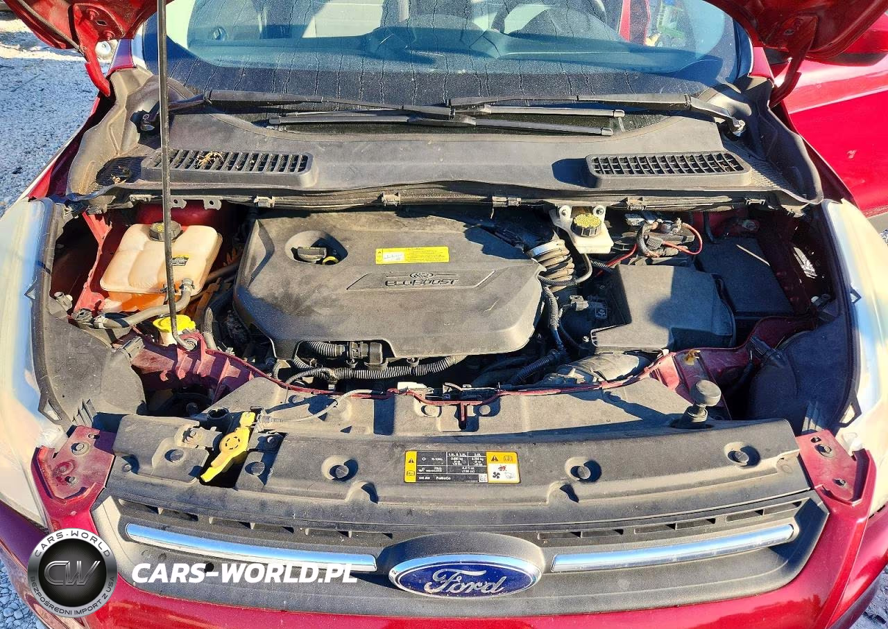 2013 Ford Escape Se VIN:1FMCU9GX0DUC69781 - 12