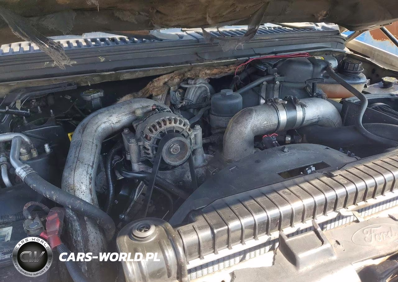 2004 Ford F250 Super Duty VIN:1FTNW21P24EA39953 - 11