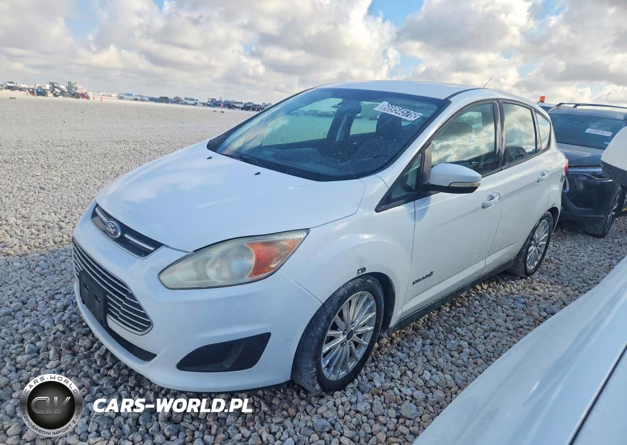 2013 Ford C-Max Se VIN:1FADP5AU9DL524480 - 1